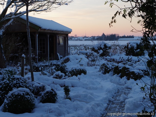sneeuw, achtertuin, ondergaande zon winter, groenjournalistiek