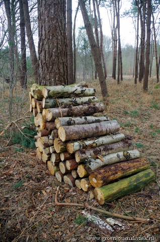 houtstapel in bos, diervriendelijk, tuinblog