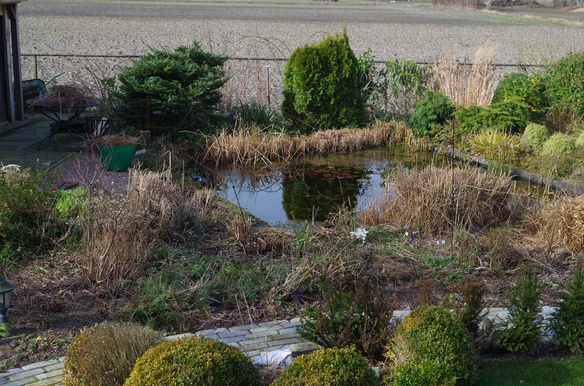 voorjaar, vijver