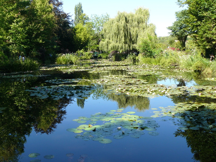 monet, tuinblog, vijver 