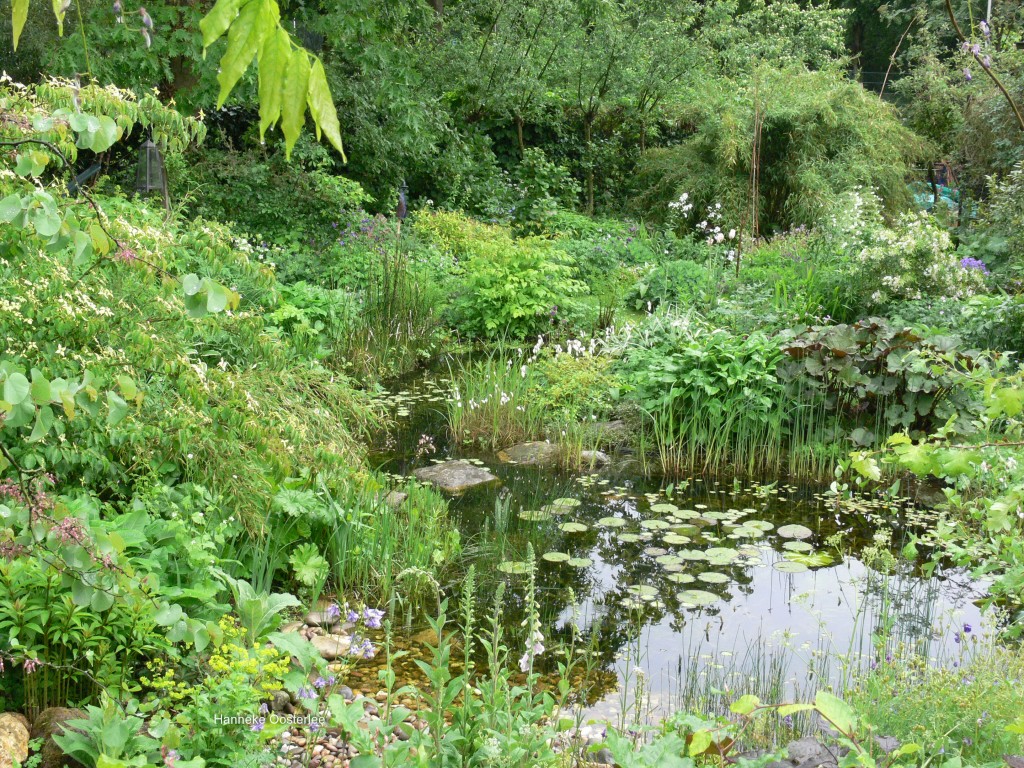 water in de tuin, vijver