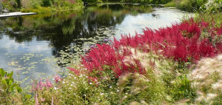 Tuin ton ter linden, Friesland, tuinblog