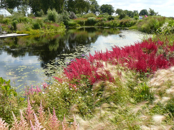 Tuin ton ter linden, Friesland, tuinblog