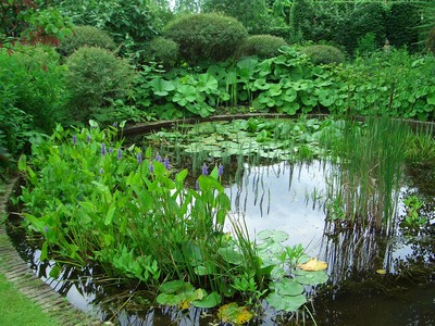 Gezien op tuinbezoek: prachtige heldere vijver...