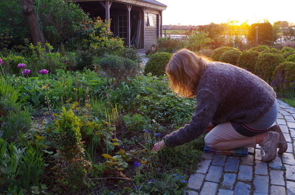 Ellen van der Peet, tuinblog