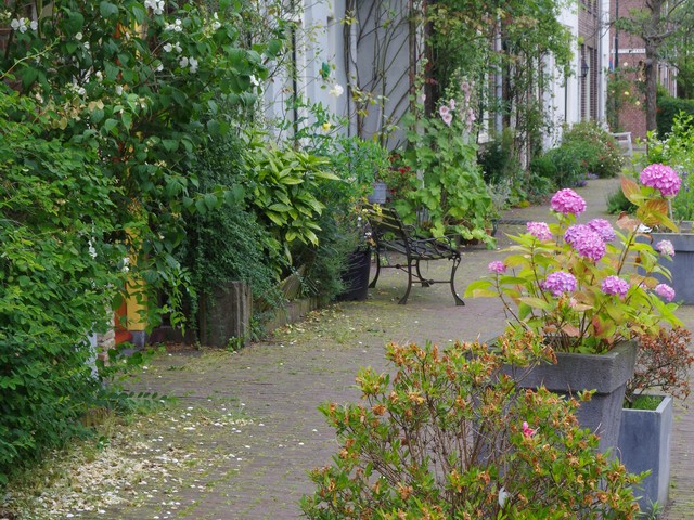 groenjournalistiek, delft, geveltuin