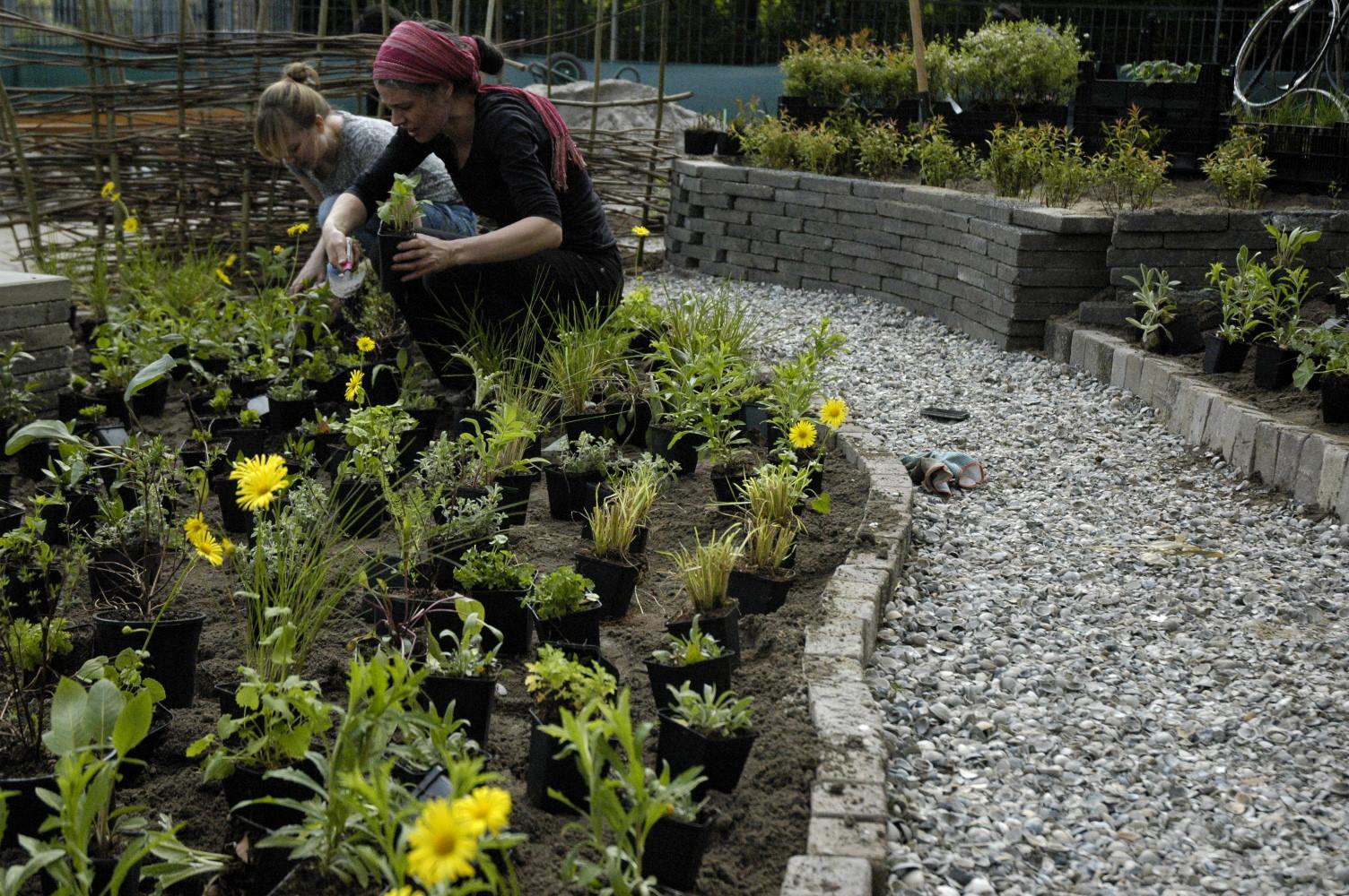 Foto van Carrie Preston van Studio Toop, Carrie is een van de bedenkers van de term inclusieve tuin en heeft voor dit kinderdagverblijf in Amersfoort een tuin ingericht waar beestjes een plek krijgen en worden aangetrokken door de beplanting en het bijenhotel. 