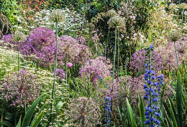 tuinblog groenjournalistiek Ton ter Linden