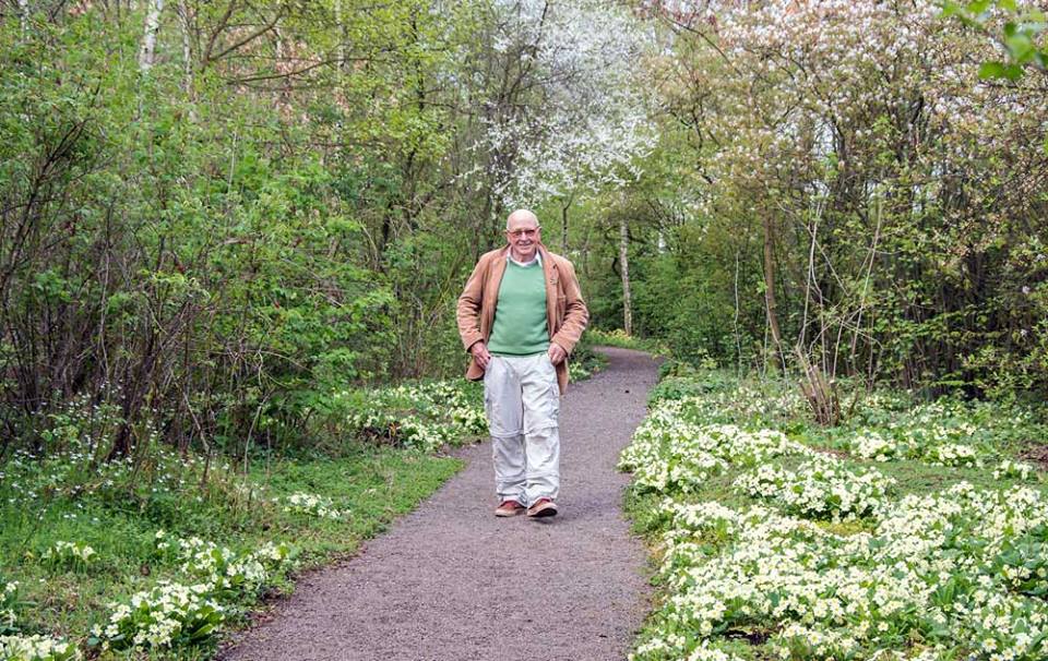 ter linden in Amstelveen, het Thijssepark