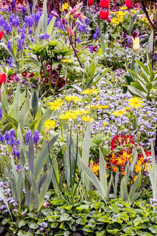  Groenjournalistiek, vaste planten, Ton ter Linden