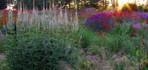 avond in jakobstuin, groenjournalistiek, tuinblog