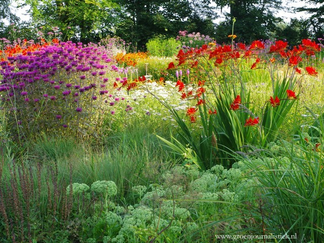 tuinblog, groenjounalistiek, jakobstuin