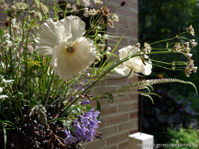 tuinblog groenjournalistiek, het bergje in Amersfoort