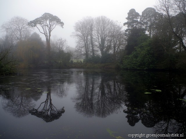 Ierland Altamont, tuinblog, groenjournalistiek