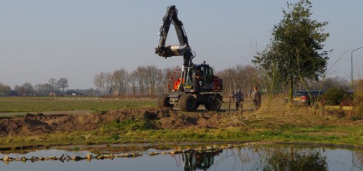 tuin van esther, diervriendelijk en duurzaam tuinieren