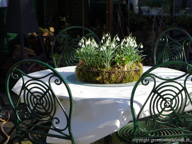 sneeuwklokjes op de tuintafel