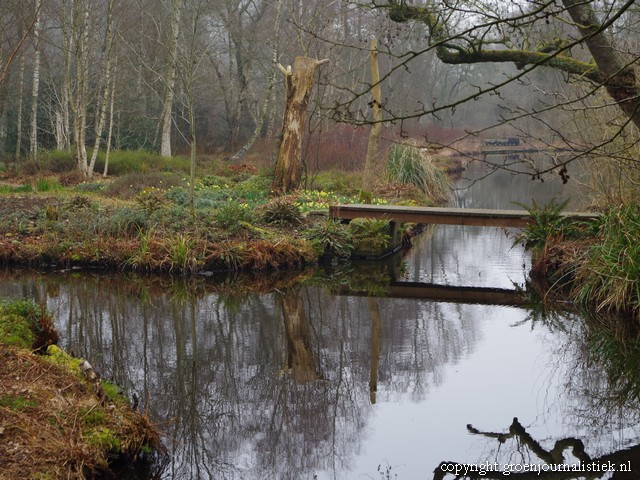 thijssepark, tuinblog