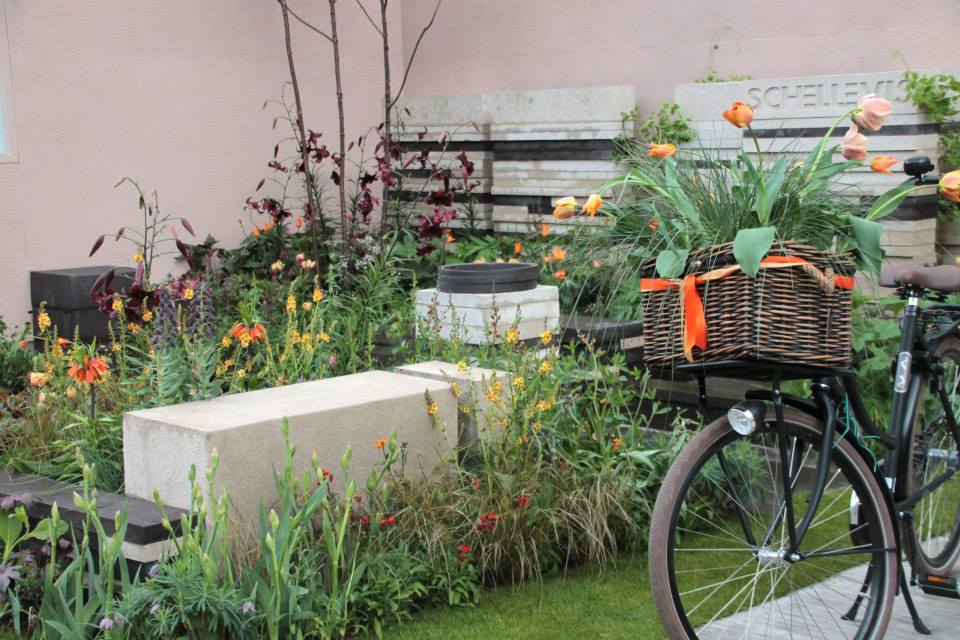 chelsea flower show, tuinblog, Carien van Boxtel, Dutch Chocolate