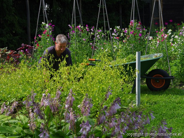 tuinblog, pluktuin