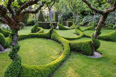 Fotograaf onbekend, bron facebook, fantasievolle toepassing buxus.