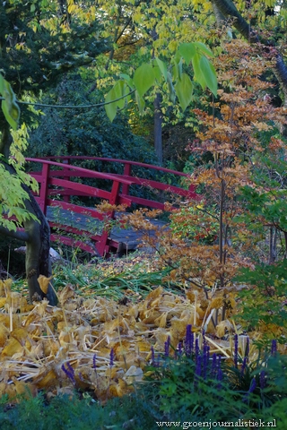 Arboretum Oudenbosch