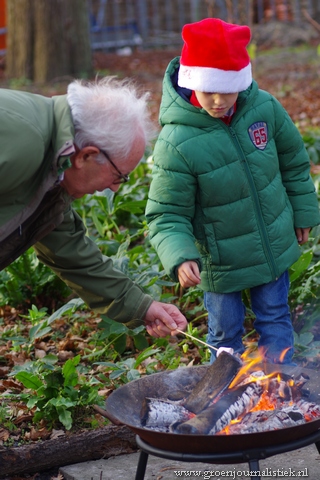 kerst arboretum oudenbosch, tuinblog, groenjournalistiek