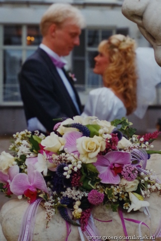 BRUIDSBLOEM STEPHANOTIS, GROENJOURNALISTIEK