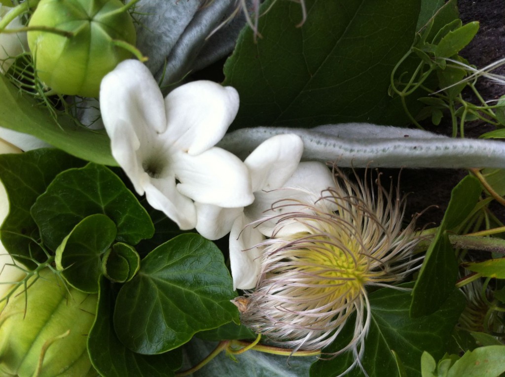 helmi's bloemwerk, bruidsboeket met stephanotis