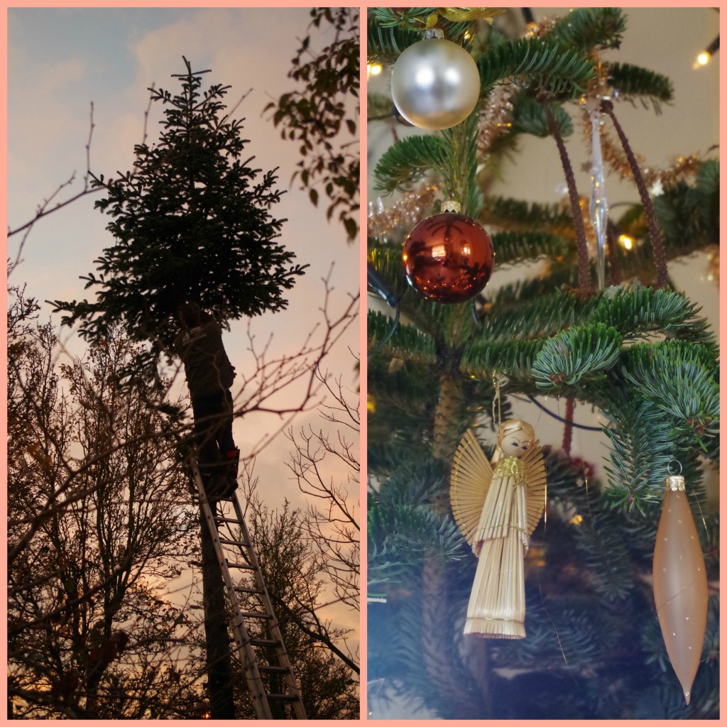 kerstboom