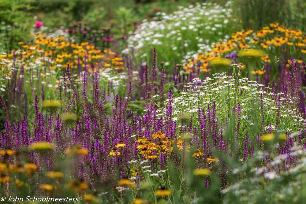 baron z'n hof Geldrop, open tuin