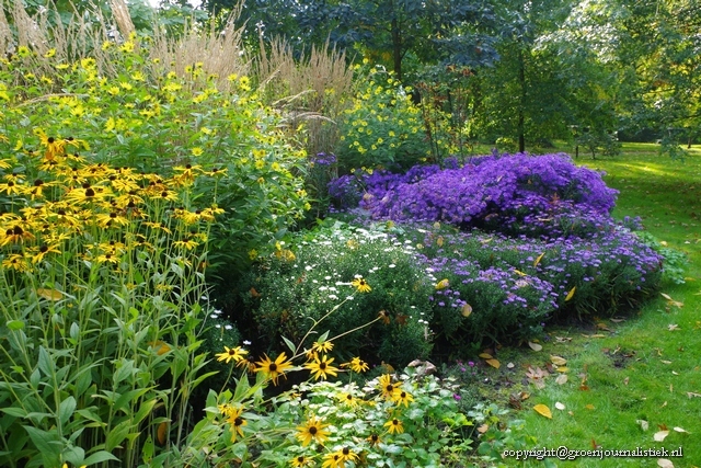  herfstborder arboretum Oudenbosch, herfstasters