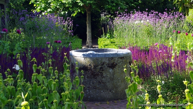  Vaste plantenborder, tuinblog, Groenjournalistiek, vaste planten