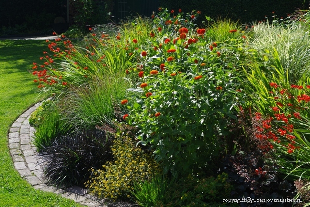  Vaste plantenborder, open tuin Zeeland, Groenjournalistiek