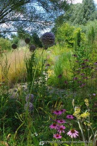 Rammekenshof Groenjournalistiek, tuinblog