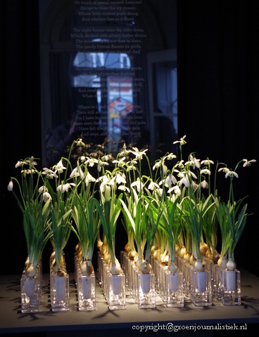 Deze groep draagt bij aan de geur in de expositieruimte van Arboretum Kalmthout