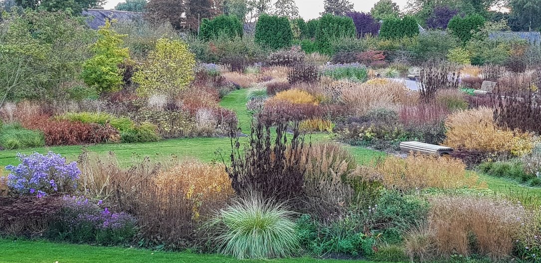 Oudolf in beeld en het grasje van Piet - Groenjournalistiek